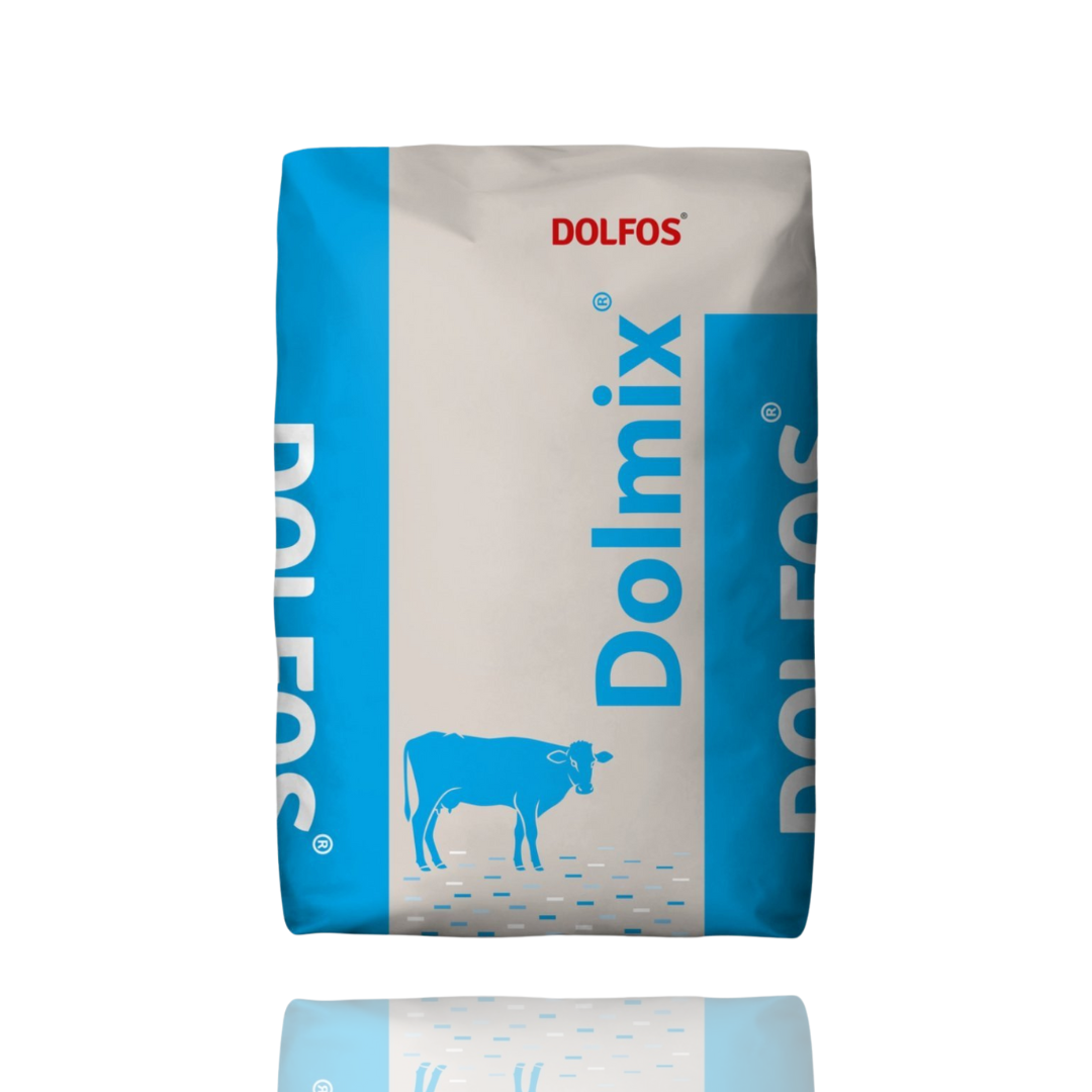 Dolfos Dolmix BZ dla krów na zasuszenie 20 kg