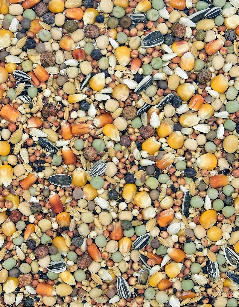 KARMA DLA GOŁĘBI PIERZENIOWA PE EXTRA PROTEIN 25 KG MDM