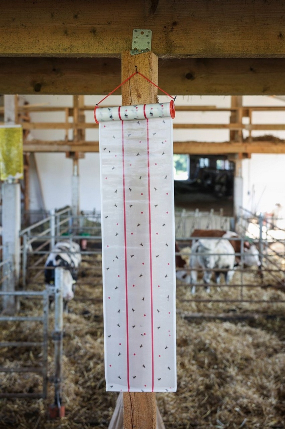 Lep przeciwko muchom na muchy 25 cm x 10 m Kerbl