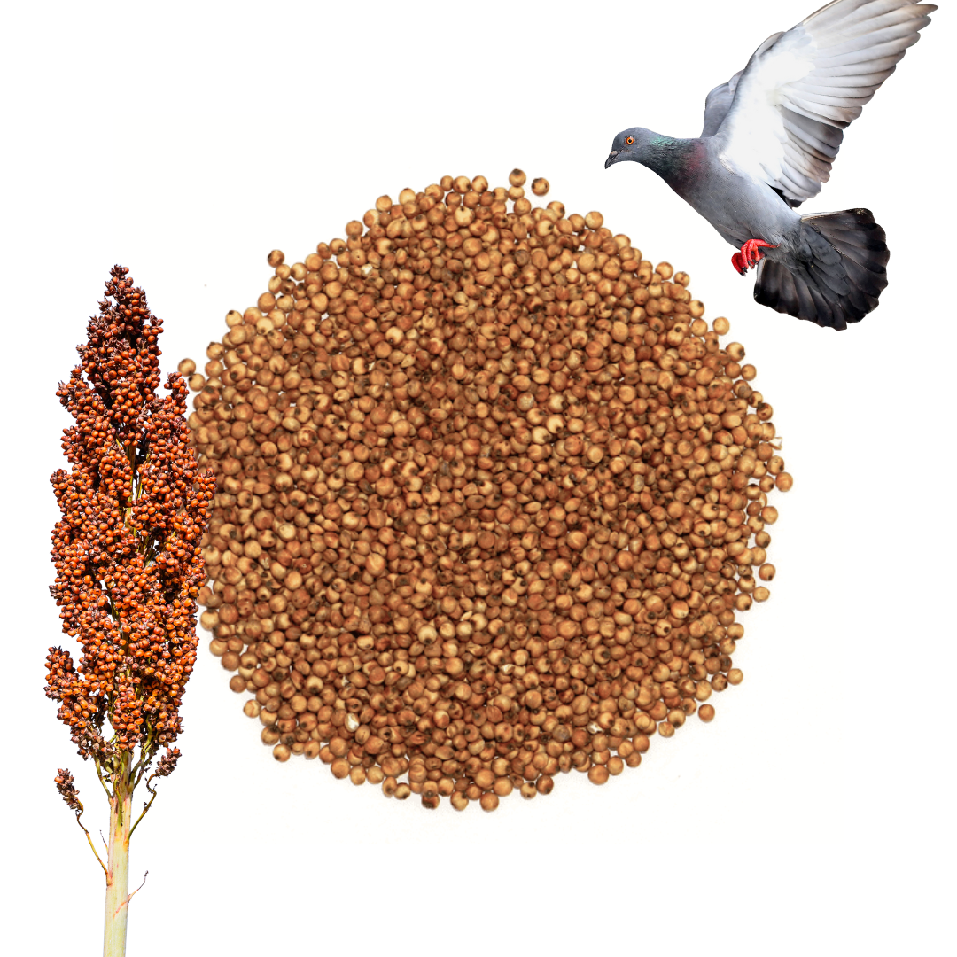 Sorgo Czerwone Karma Dla Ptaków Naturalna Wysokoenergetyczna 25 kg