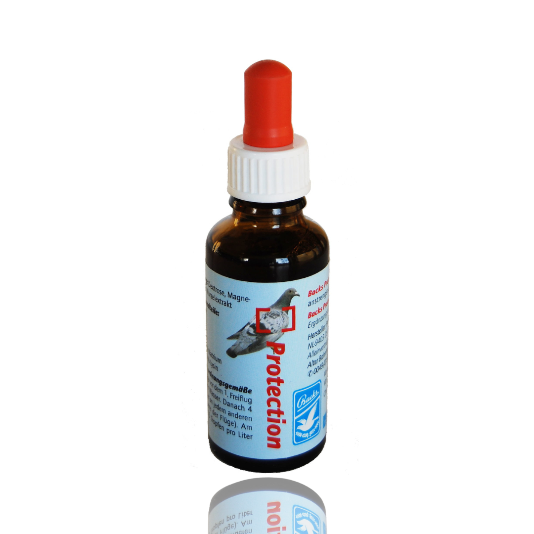 Protection przygotowuje umięsnienie gołębi do sezonu lotowego 30ml