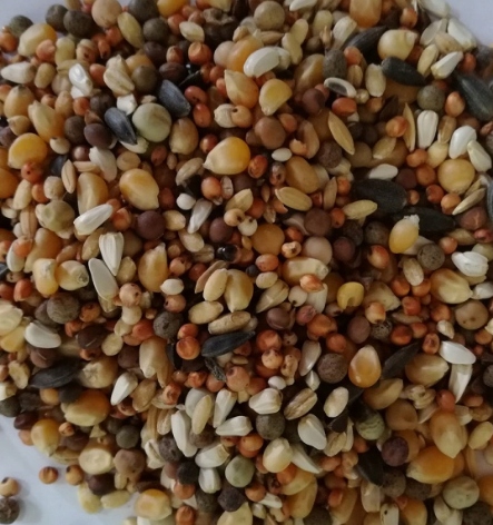 Karma dla gołębi Ozdobnych O BEST NATURAL 20kg