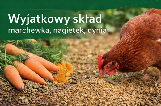 Pasza Dla Kur Niosek Ruda z Neorolu Z Marchewka Dynia i Nagietkiem 25kg
