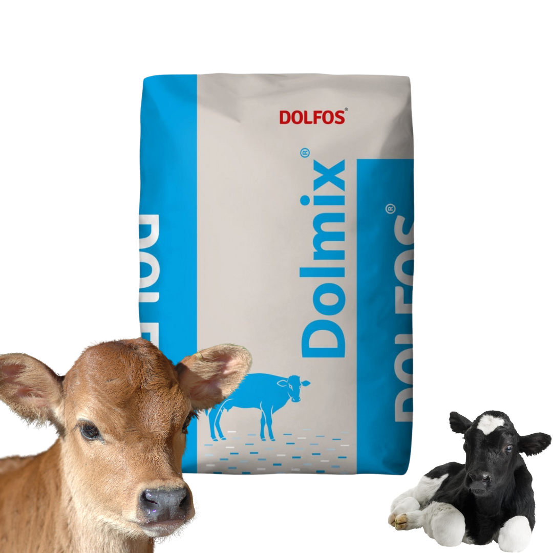 DOLMIX C witaminy dla cieląt DOLFOS 20kg