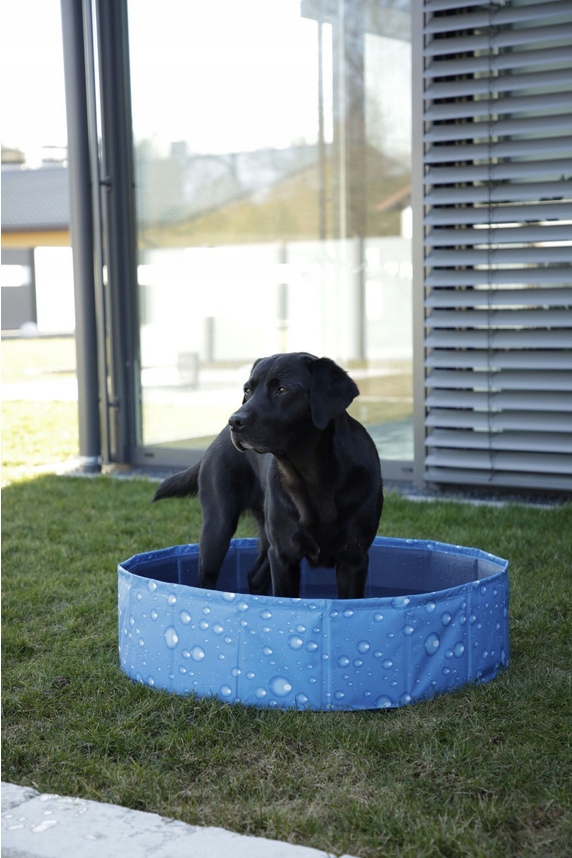 Basen dla psa Bubble 120x120x30 cm niebieski Kerbl