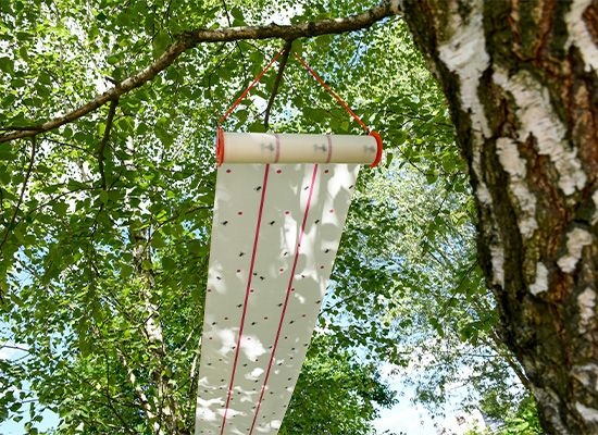 Lep przeciwko muchom na muchy 25 cm x 10 m Kerbl