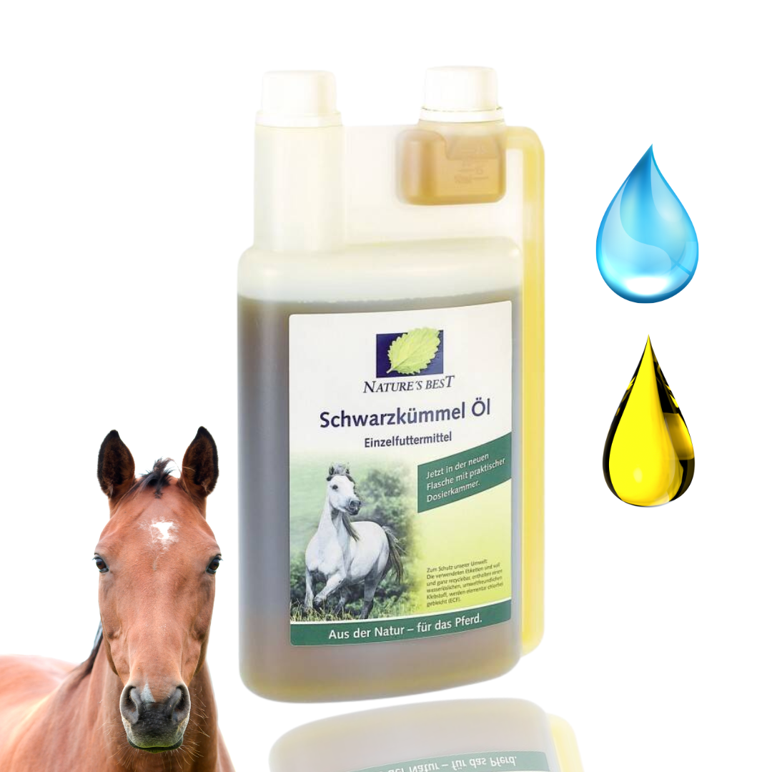 Nature's Best Schwarzkummel Ol Olej Z Czarnuszki Dla Konia 500 ml
