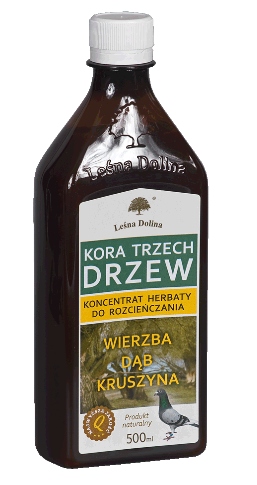 Kora trzech drzew herbata dla gołębi Leśna Dolina