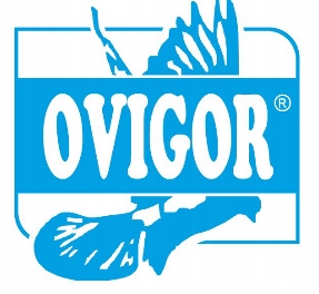 OviSprint + karnityna dla gołębi loty Ovigor 500ml