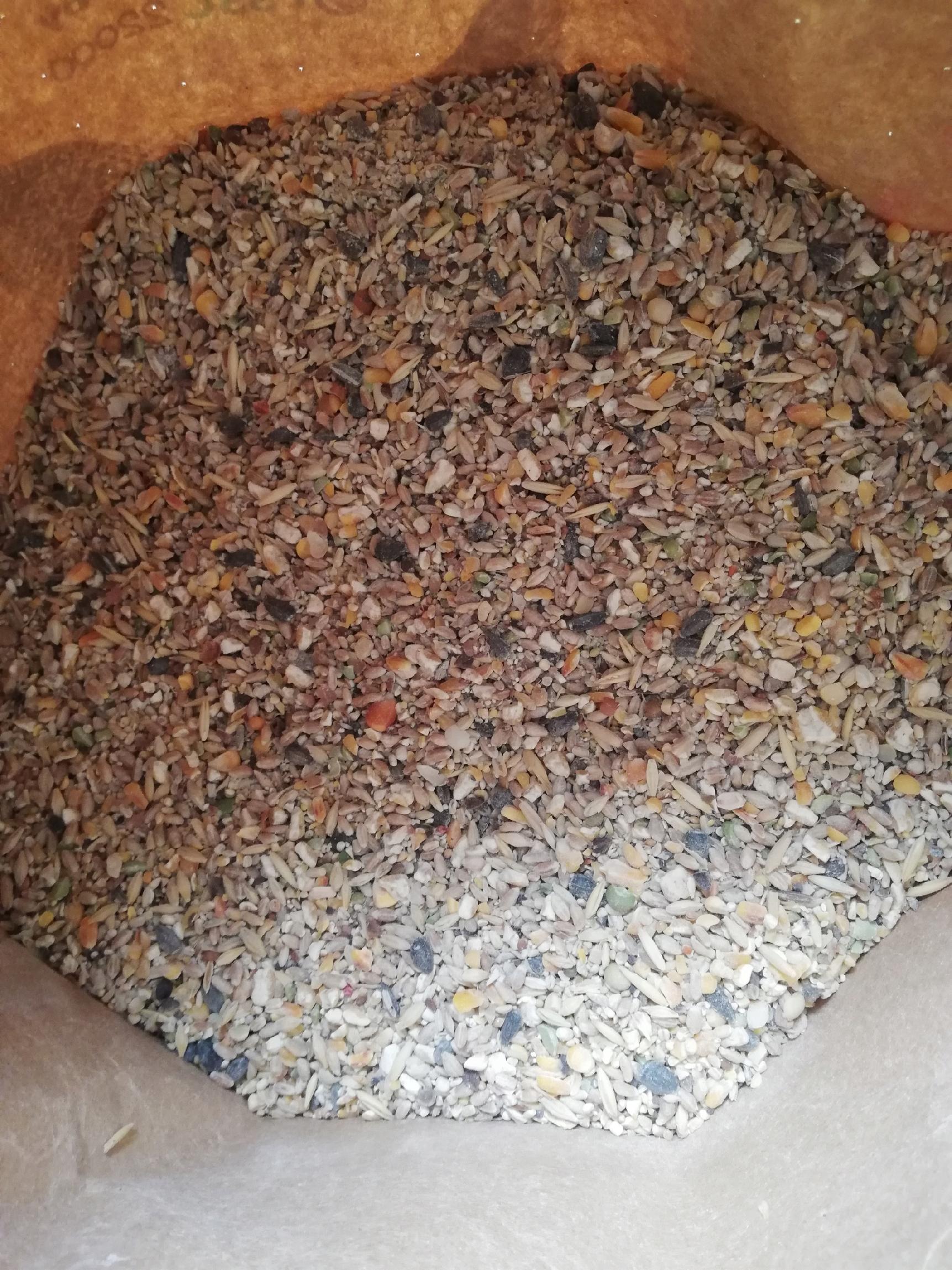 Pasza dla kur niosek nioska BEZ GMO Ełpol Kokoszka Nioska Ziarno Elpol 5kg