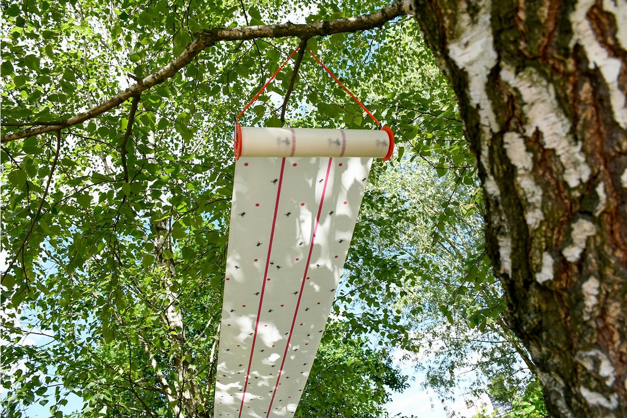 Lep przeciwko muchom na muchy 25 cm x 10 m Kerbl