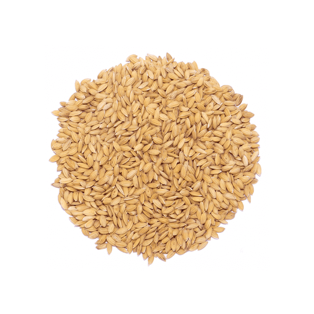 Ryż paddy 25 kg – idealny dodatek paszowy dla gołębi i ptaków lotowych