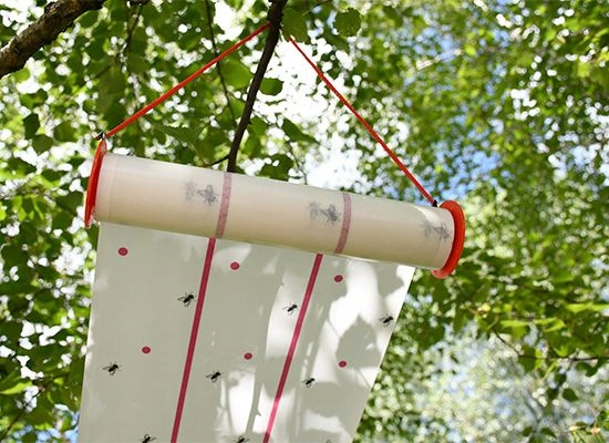 Lep przeciwko muchom na muchy 25 cm x 10 m Kerbl