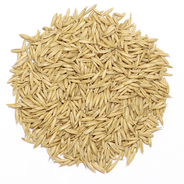 Owies Naturalny Pełnoziarnisty dodatek do mieszanek dla ptaków – 1 kg