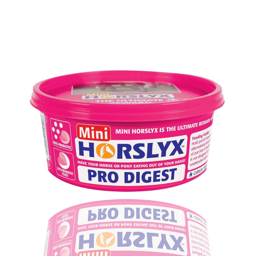 Horslyx Pro Digest Lizawka Dla Koni Masa Energetyczna Formie Bloków 650g