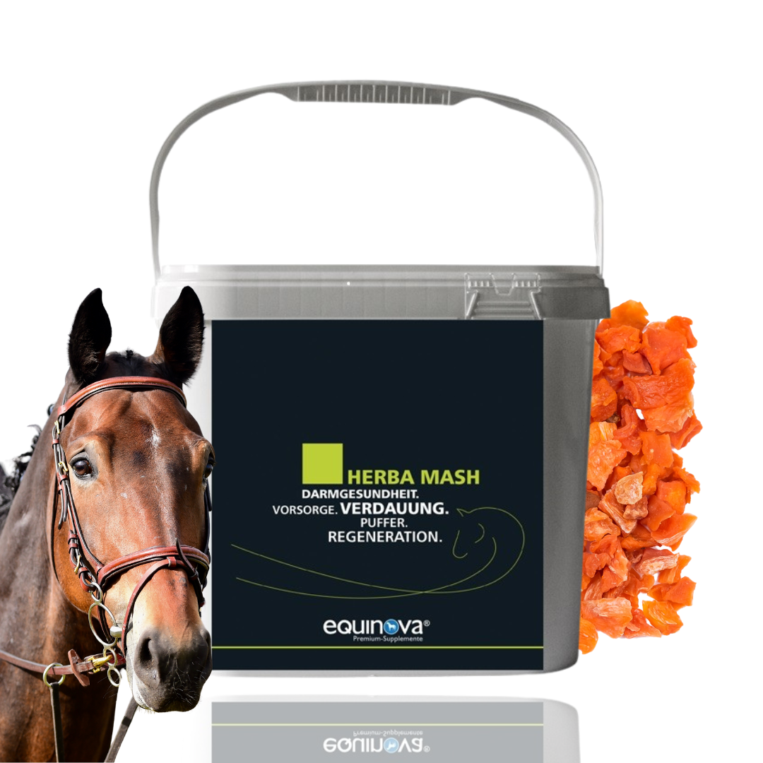 Equinova Herba Mash mesz ziołowy wspomaga trawienie i przemianę materii 5kg