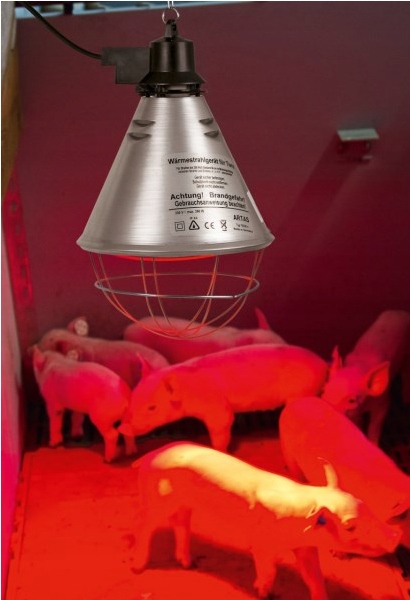 Oprawa promiennika + przełącznik lampa kwoka Kerbl
