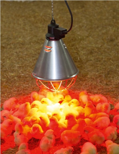 Oprawa promiennika + przełącznik lampa kwoka Kerbl