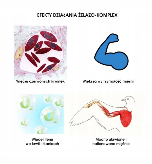 Żelazo Kompleks dla gołębi loty forma 250ml Elita