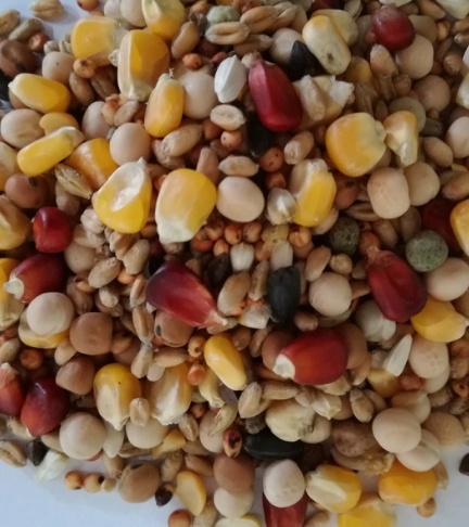 Karma dla gołębi Uniwersalna U+ BEST NATURAL Ziarno 20kg