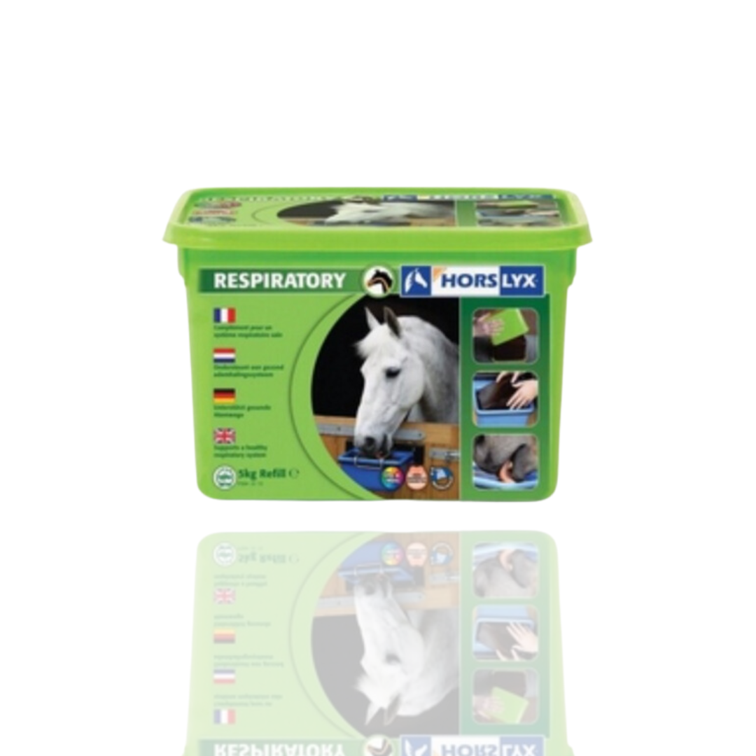 Horslyx Respiratory Masa Energetyczna Dla Koni W Formie Bloków 5kg