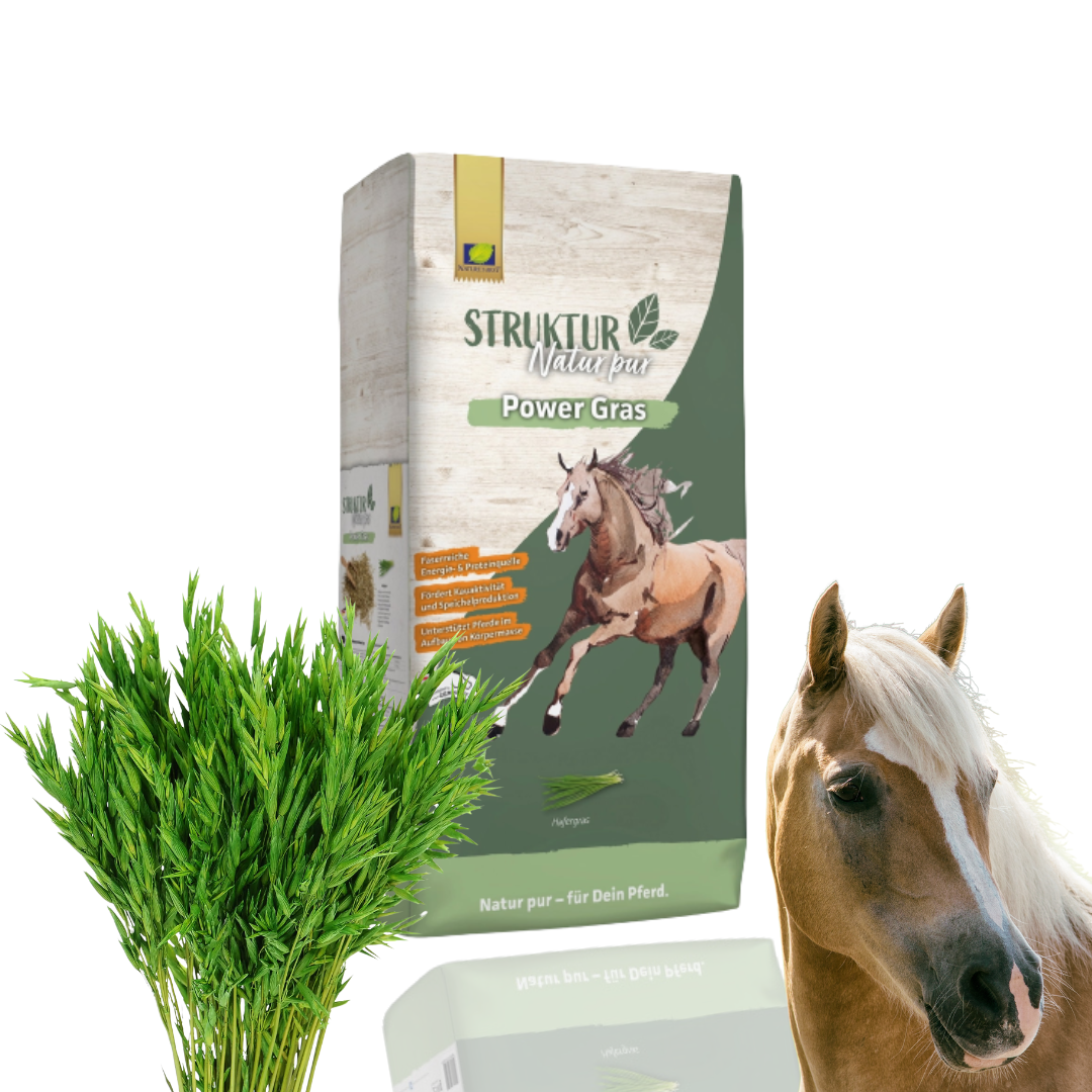 Nature's Best Pur Power Gras Mieszanka Uzupełniająca Dla Koni 15kg