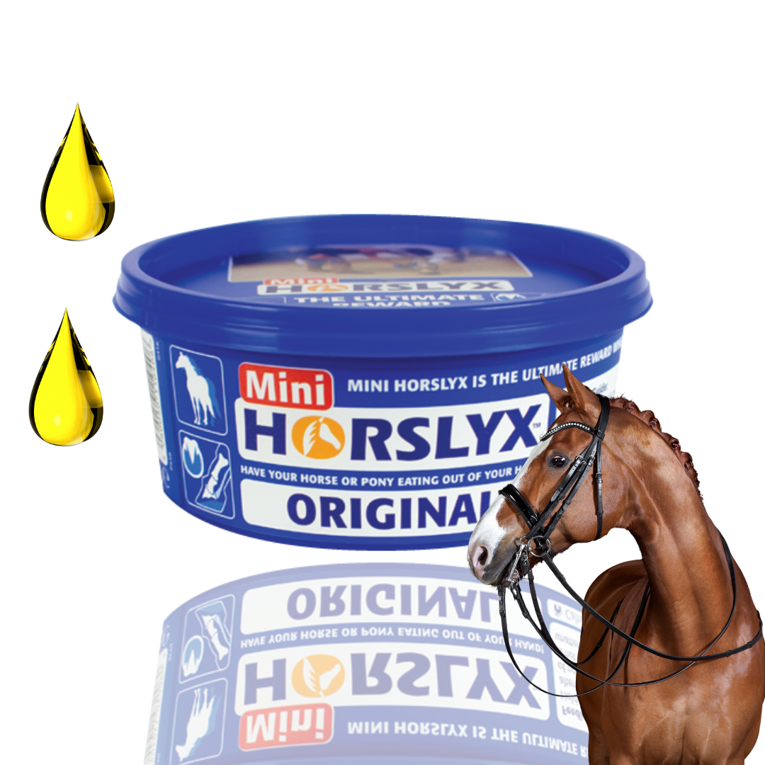 Horslyx Original Lizawka Dla Koni Witaminy Minerały W Formie Bloków 650g