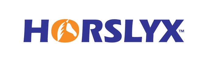 Horslyx Original Lizawka Dla Koni Witaminy Minerały W Formie Bloków 650g
