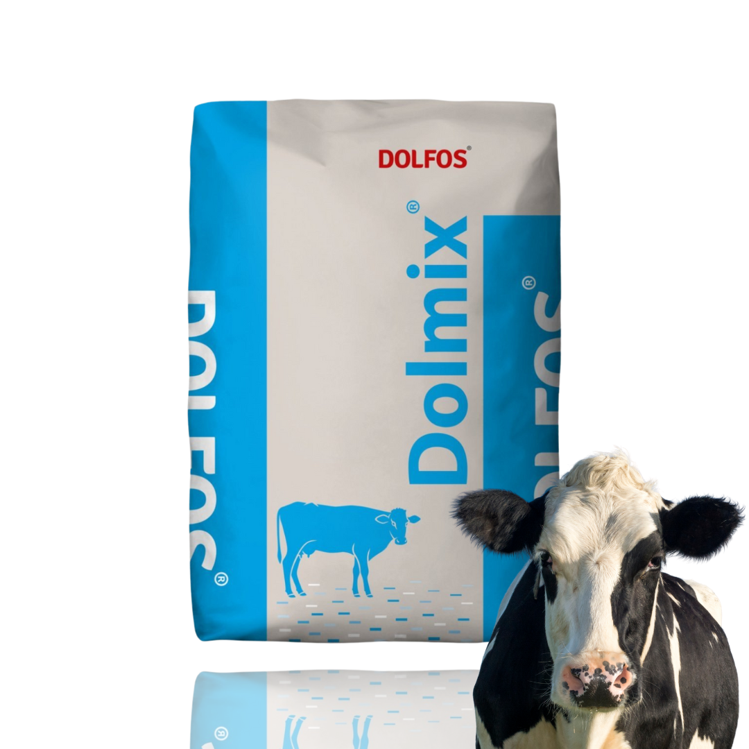 Dolfos Dolmix BZ dla krów na zasuszenie 20 kg