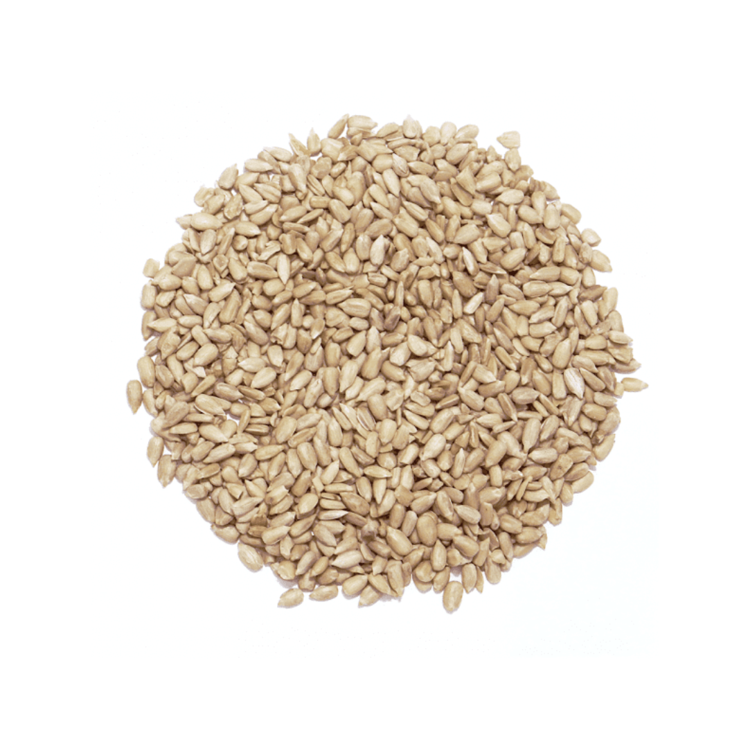 Słonecznik Łuskany Karma Dla Ptaków Wysokobiałkowa Premium 1 kg