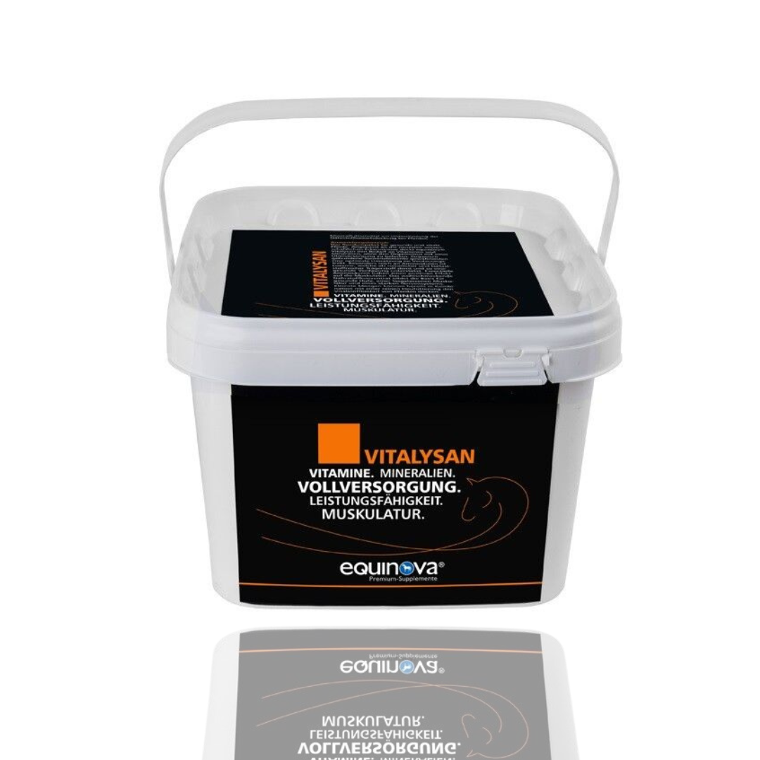 Equinova Vitalysan Powder 25 kg mieszanka mineralno-witaminowa