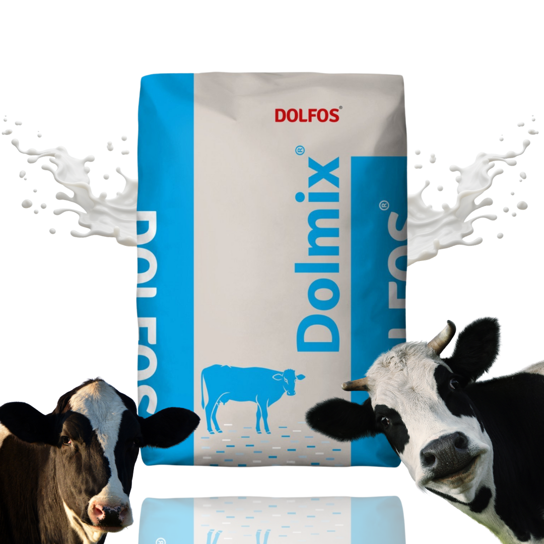 Dolmix BM p+ mineralna mieszanka paszowa dla krów mlecznych, 20 kg