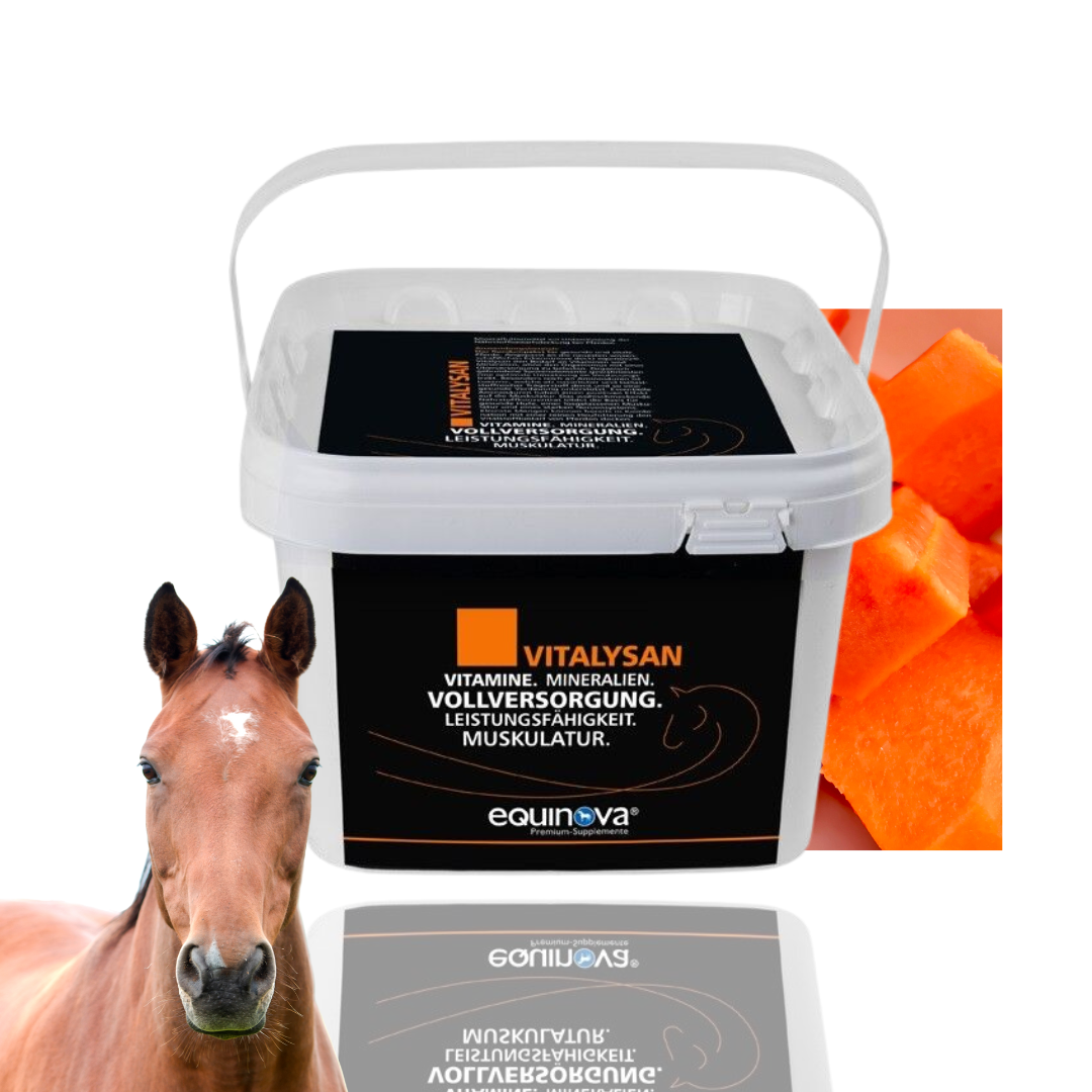 Equinova Vitalysan Powder 10 kg mieszanka mineralno-witaminowa