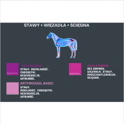 Equinova Suplement Na Stawy Dla Koni Arthroagil Liquid 1L