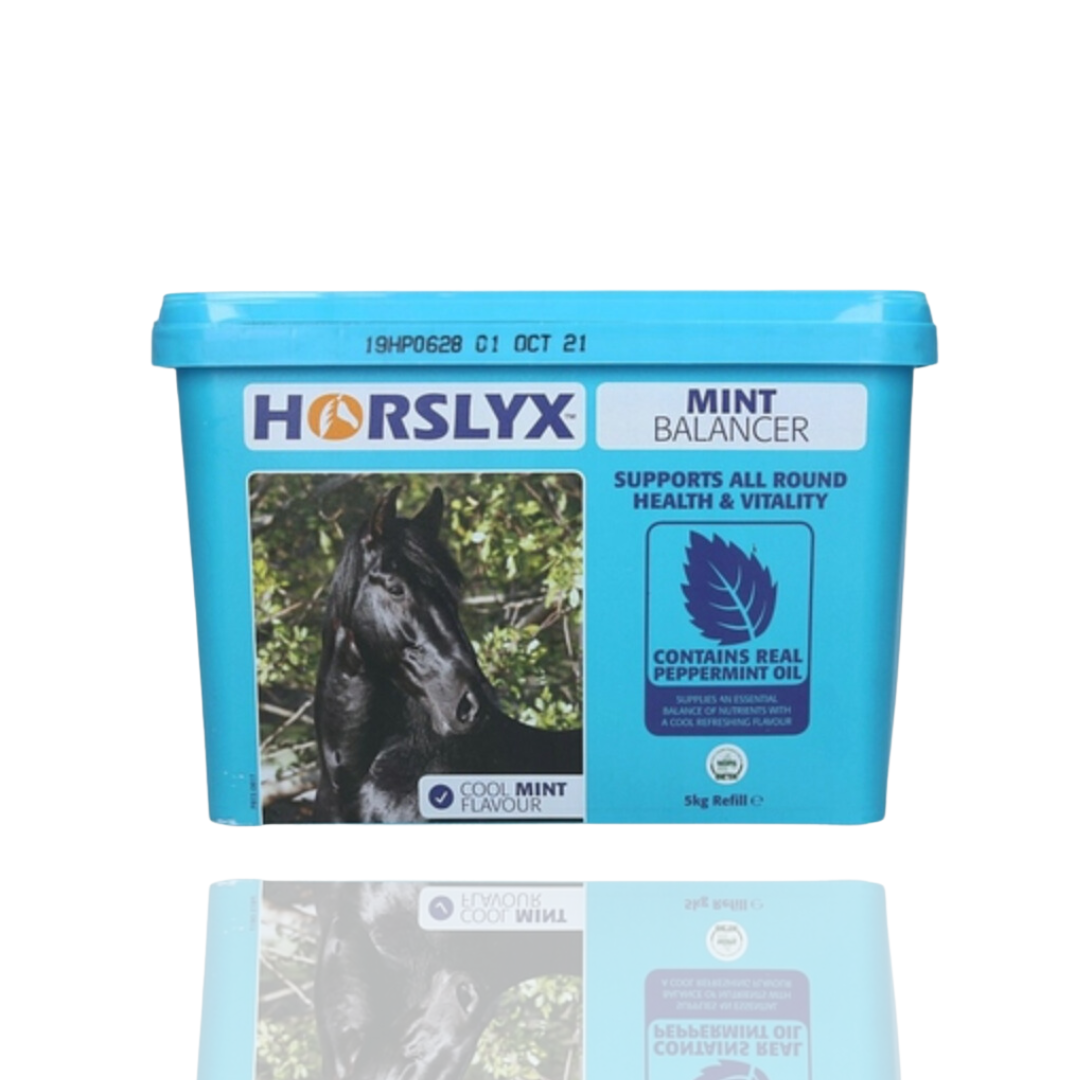 Horslyx Mint Masa Energetyczna Dla Koni W Formie Bloków 5kg