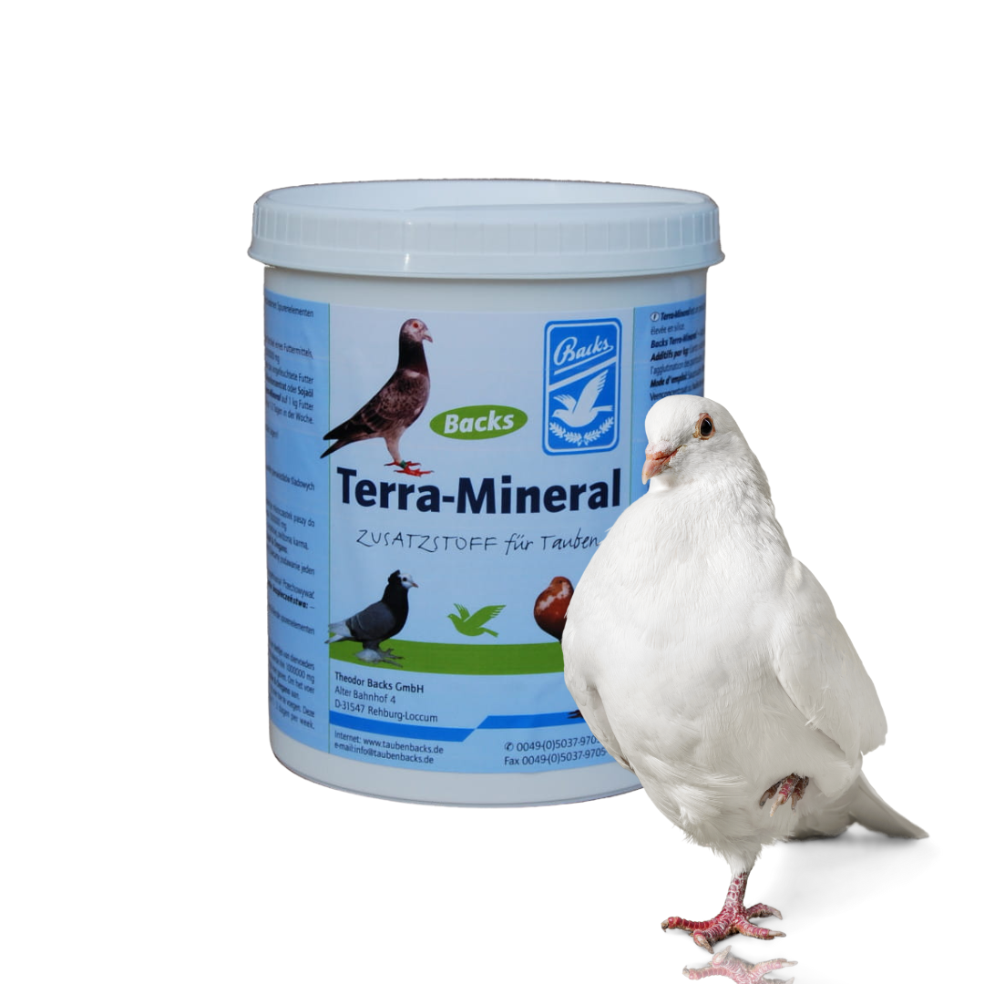 Terra Mineral proszek mineralny