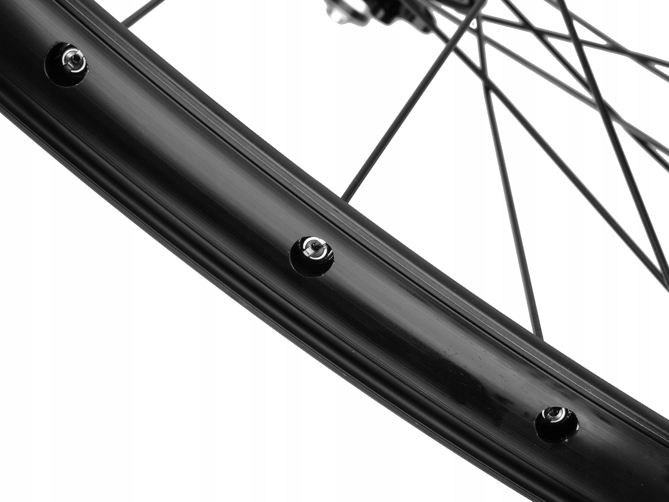 Roata completa bicicleta Rodi Tryp 25 EVO 29'', tubeless, 12x142
