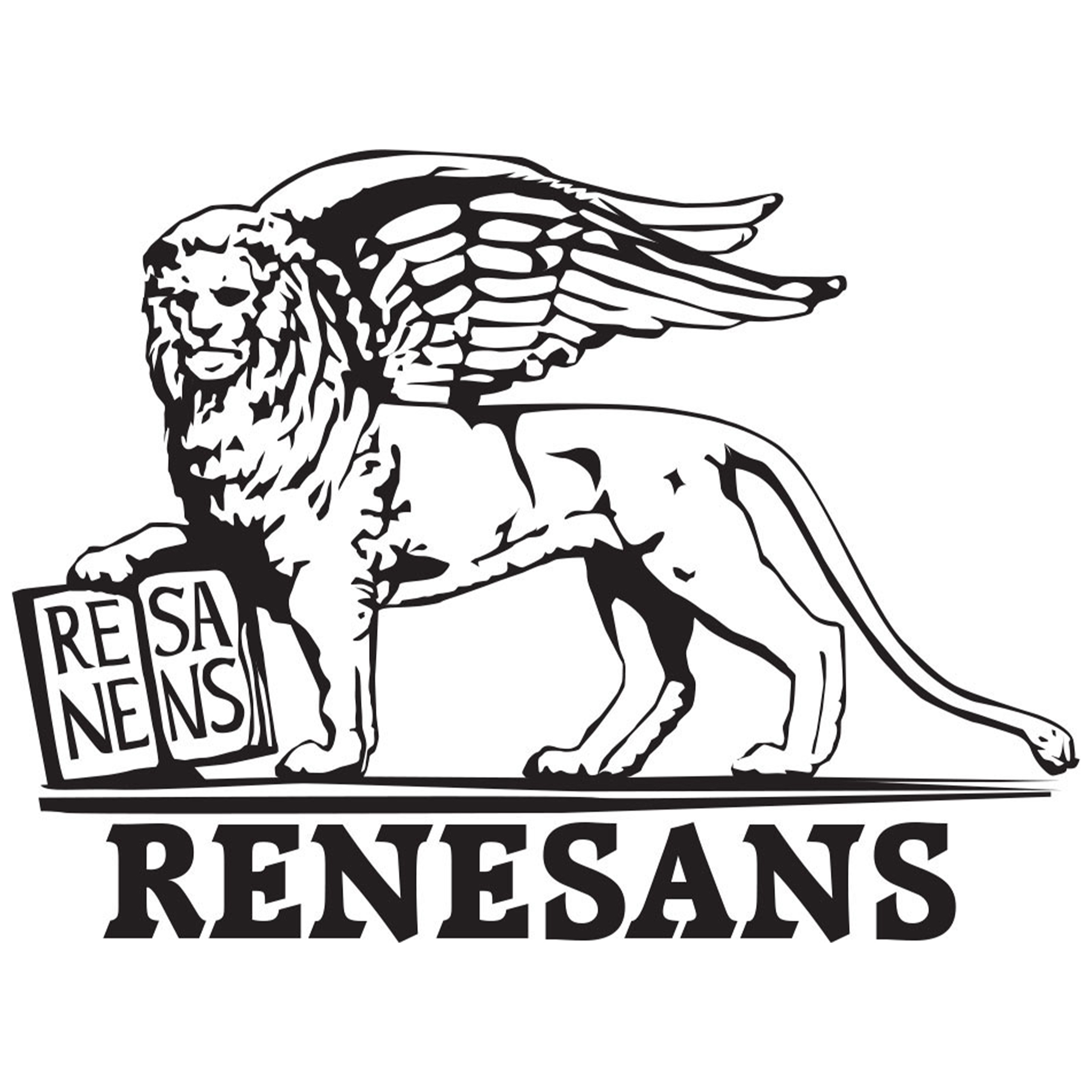 Renesans 1006R Pinsel Ansicht 5