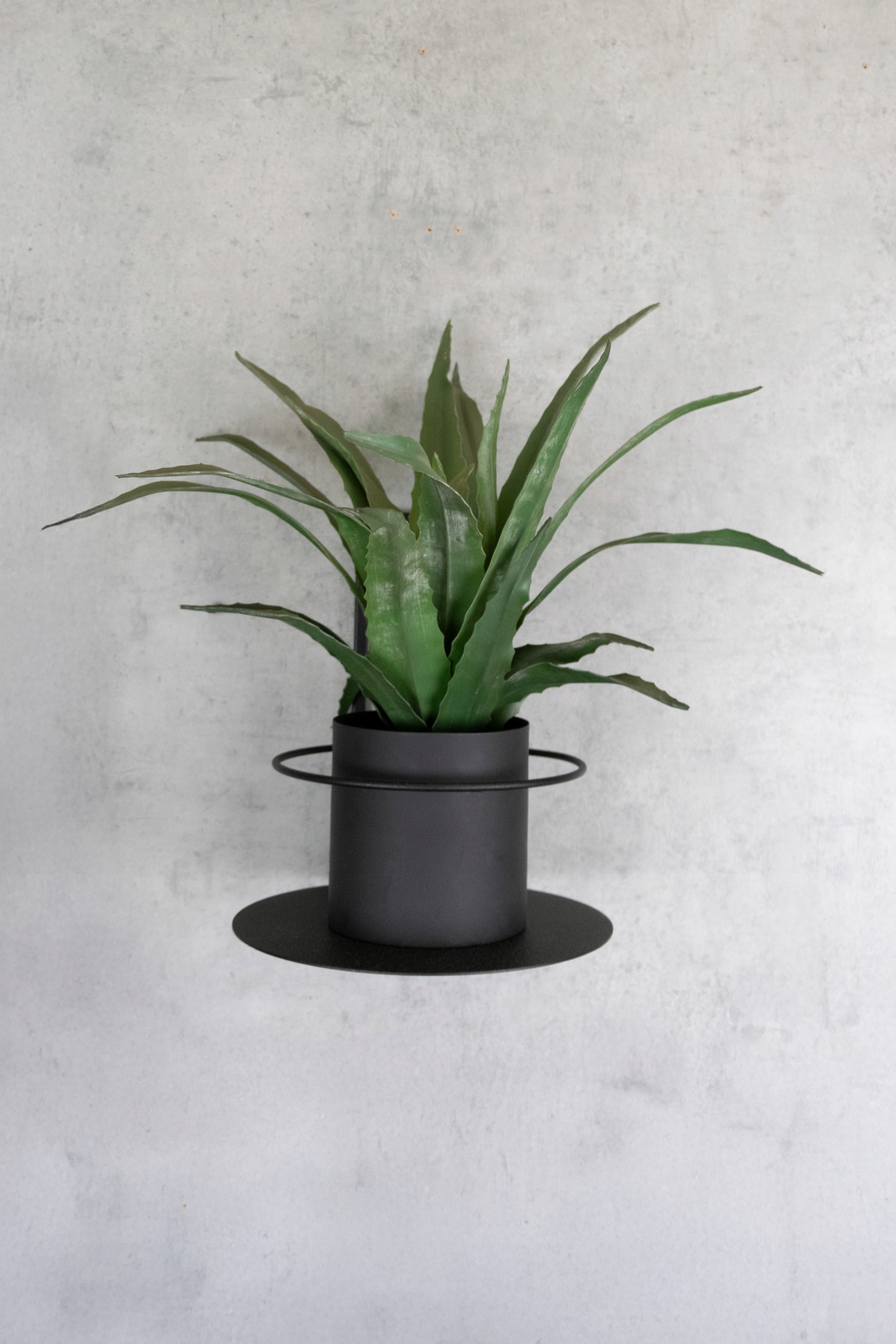 Vendes S Black