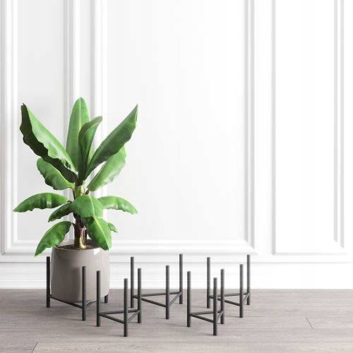Dijon L