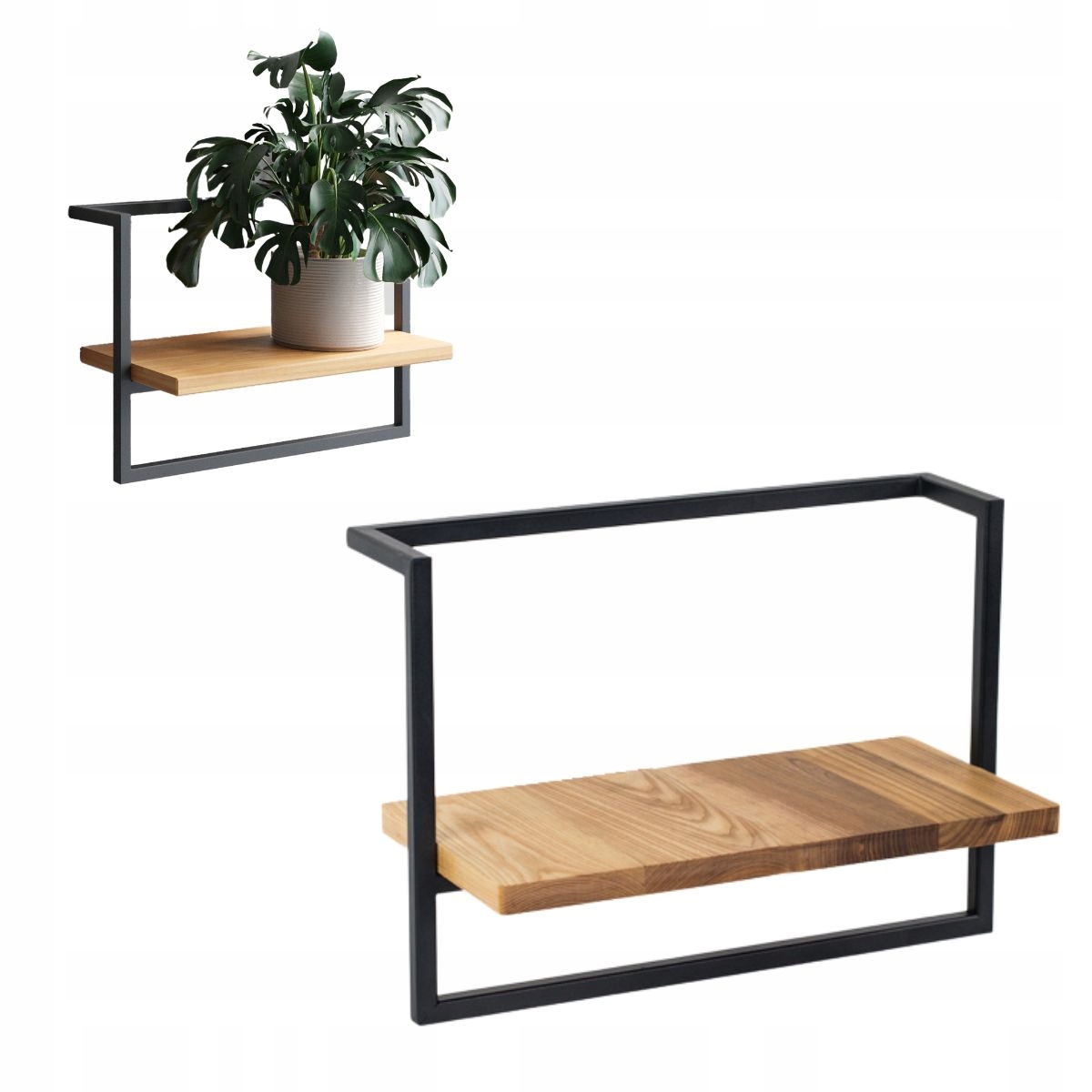 Nesle M