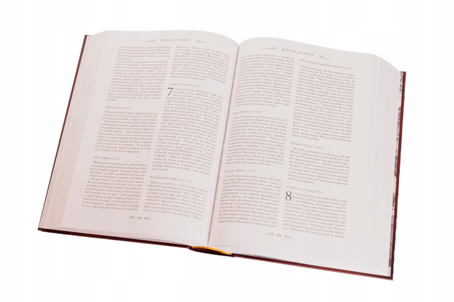 Pismo Święte Starego i Nowego Testamentu Biblia domowa PIĘKNE WYDANIE DUŻE