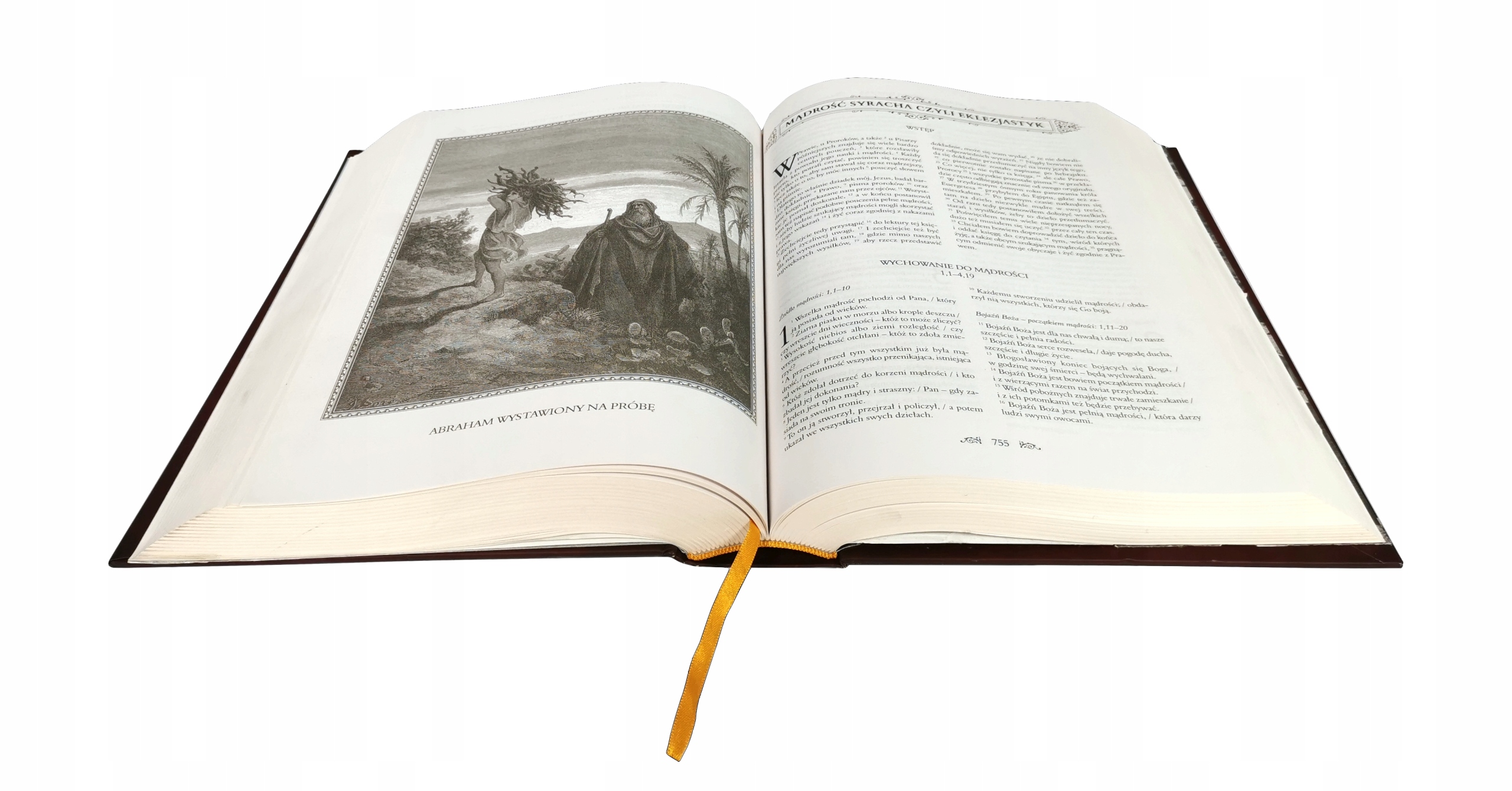 Pismo Święte Starego i Nowego Testamentu Biblia domowa PIĘKNE WYDANIE DUŻE