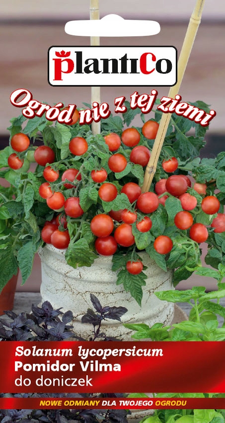 NASIONA Pomidor Koktajlowy Vilma 0,2g PLANTICO Doniczkowy Balkonowy 405745