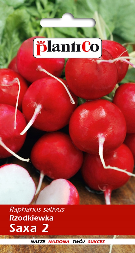 NASIONA Rzodkiewka Saxa Polana 10g PLANTICO 406018