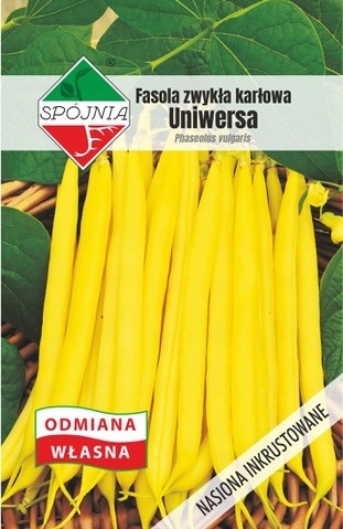 NASIONA Fasola Zwykła Karłowata Uniwersalna 44g SPÓJNIA Żółta 700251