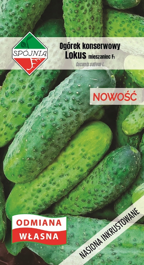 NASIONA Ogórek konserwowy Lokus Mieszaniec 5g SPÓJNIA 400878