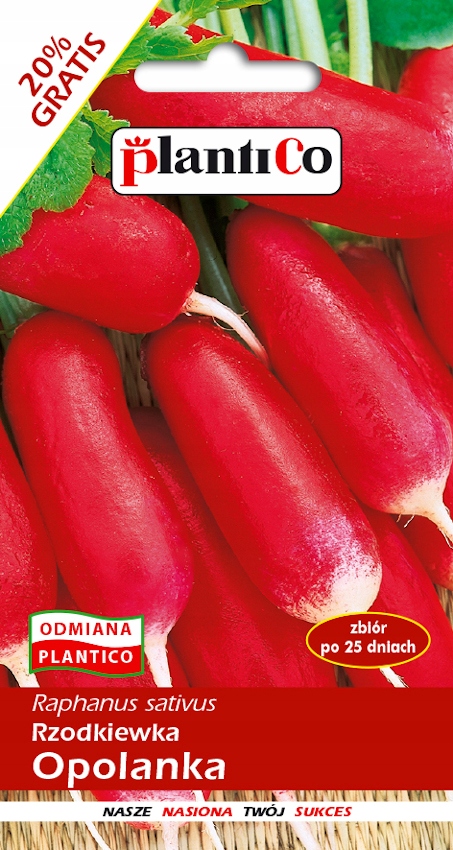 NASIONA Rzodkiewka Opolanka Podłużna 12g PLANTICO 406469