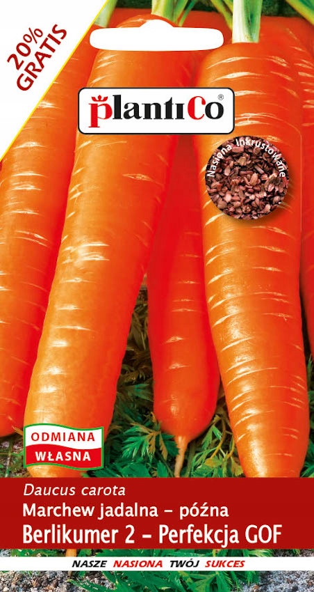 NASIONA Marchew Jadalna Berlikumer 2 - Perfekcja GOF 6g PLANTICO 403154
