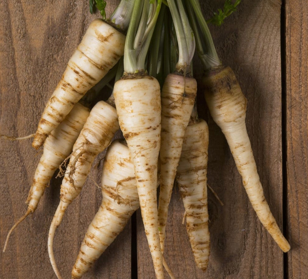 NASIONA Pietruszka Korzeniowa Halblange Berlińska GOF 6g PLANTICO 403710